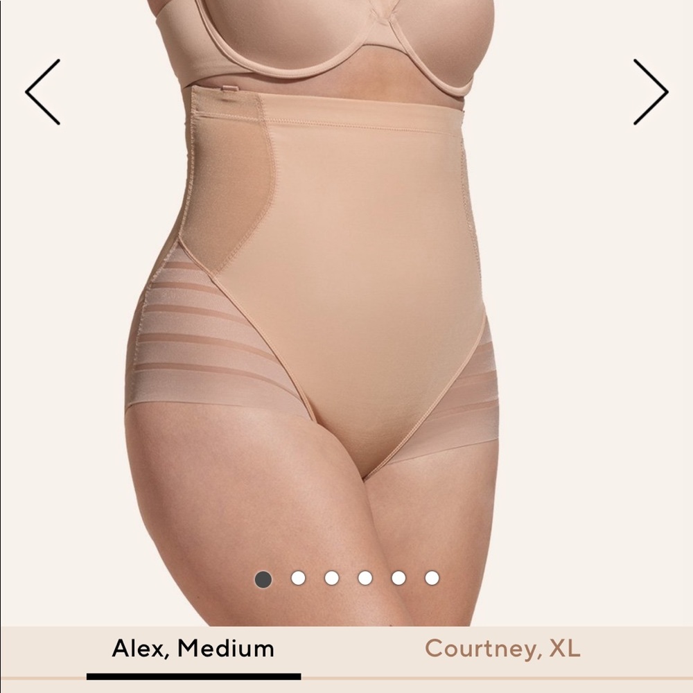 Honeylove Queen Brief - NWOT